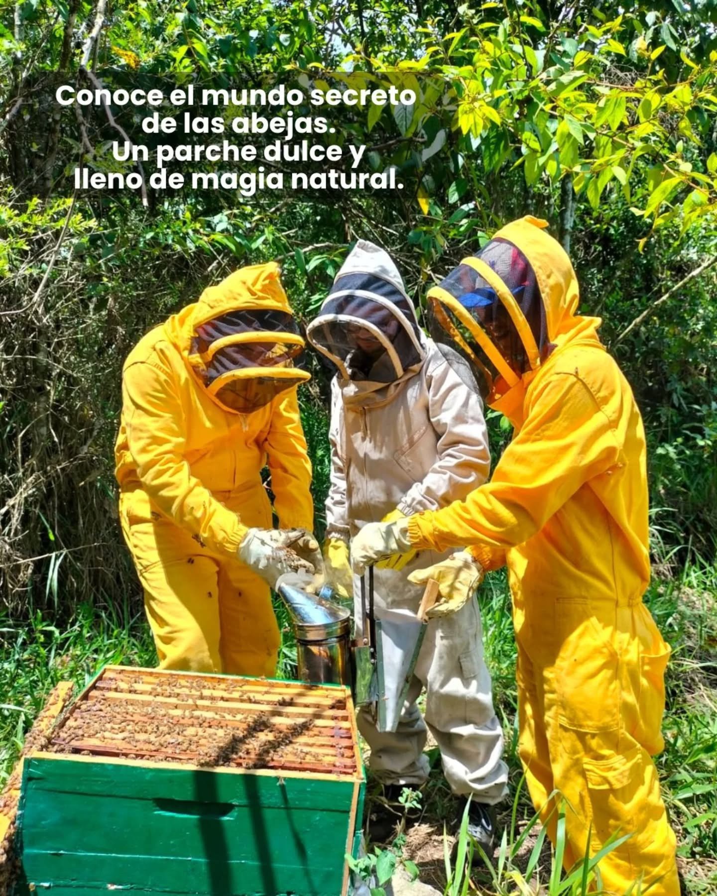 TOUR DE LAS ABEJAS